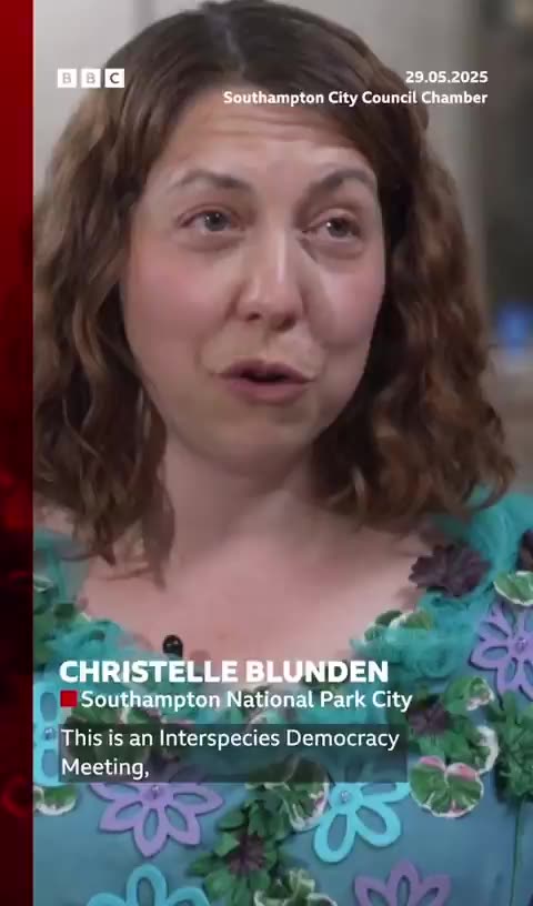 Green activists dress up as bugs and host a city council meeting to let the bugs