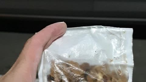 Dog is transported adequately, Handler preparation