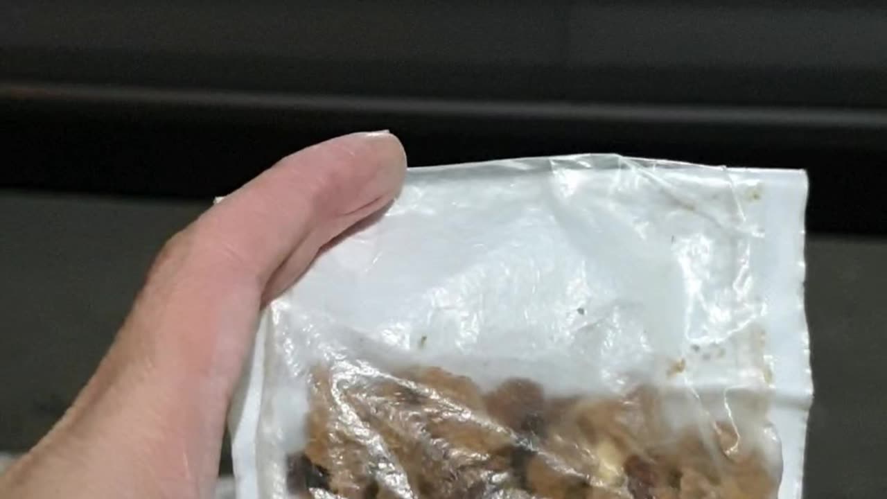 Dog is transported adequately, Handler preparation