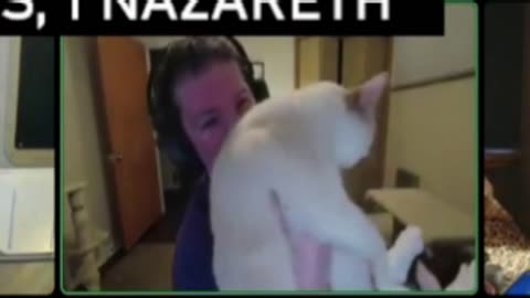Cursed cat eating techniques from Dillem's Naz dating show