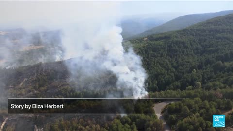 Greece gets EU help to battle disastrous wildfires