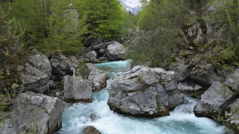 The true Way of Christ that those with ears that hear will know is true – Sermon Audio 12/21/25