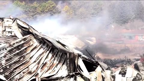 03/24 Firefighters battle South Korea wildfires