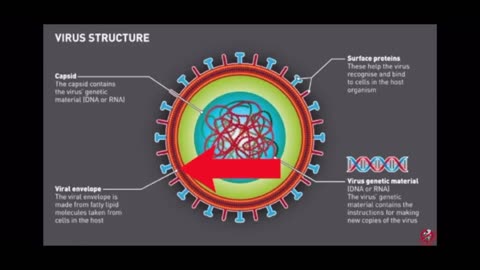 8. #VirusesDontExist : What Is A “Virus”?