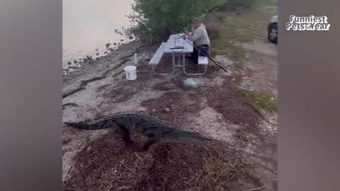 Very funny comedy animal