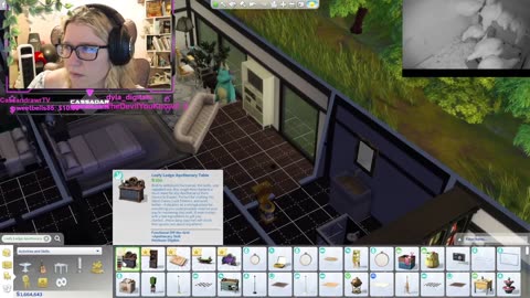 Chicken Live Stream
