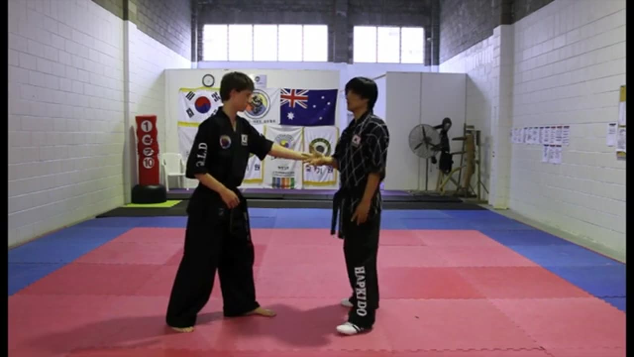Hapkido