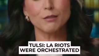 LA Riots Organized And Intentional