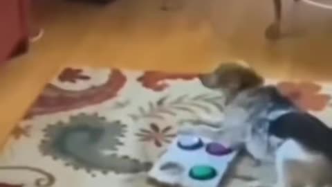 😱👻 Haunted House Encounter! Unexplained Mystery | TheHauntingHour