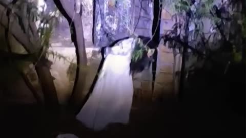 What was seen in the abandoned house at night #HauntedPlace #ScarySound #HorrorReel #abandoned