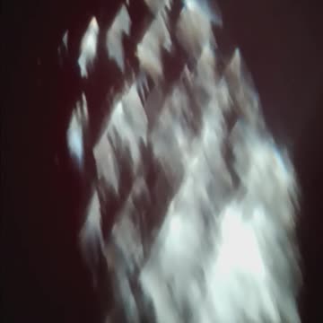 PINE CONE SHADOW 🏹☢️🌲🍦