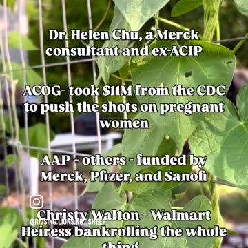 Big Pharma Loosing Control ?