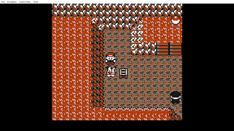 YELLOW NUZLOCKE DAY 3