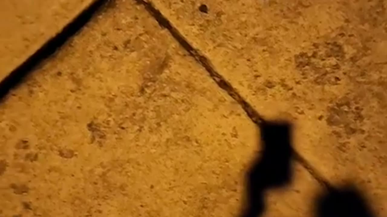 Catch # 109 Eric 41 of Ft Wayne Indiana about the conversations he was having with a 13 Y/O