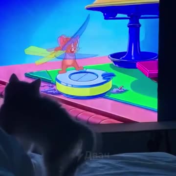 Good morning! I wish you a good working day!