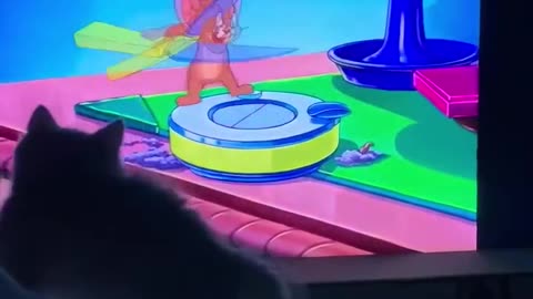 Good morning! I wish you a good working day!