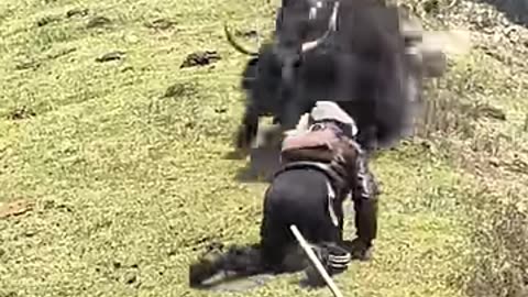 Epic Fails That Broke the Internet! 😭💀