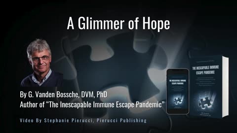 A Glimmer of Rational Hope - By Geert Vanden Bossche - March 24, 2025