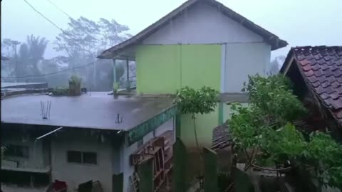 Sleep Better with Heavy Rain & Thunderstorm Sounds on a Tin Roof – Deep Forest Ambience