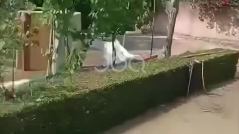 Kanali vaditës i papastruar, përmbytet shtëpia në Vlorë! Banori: Emergjencat janë pushim