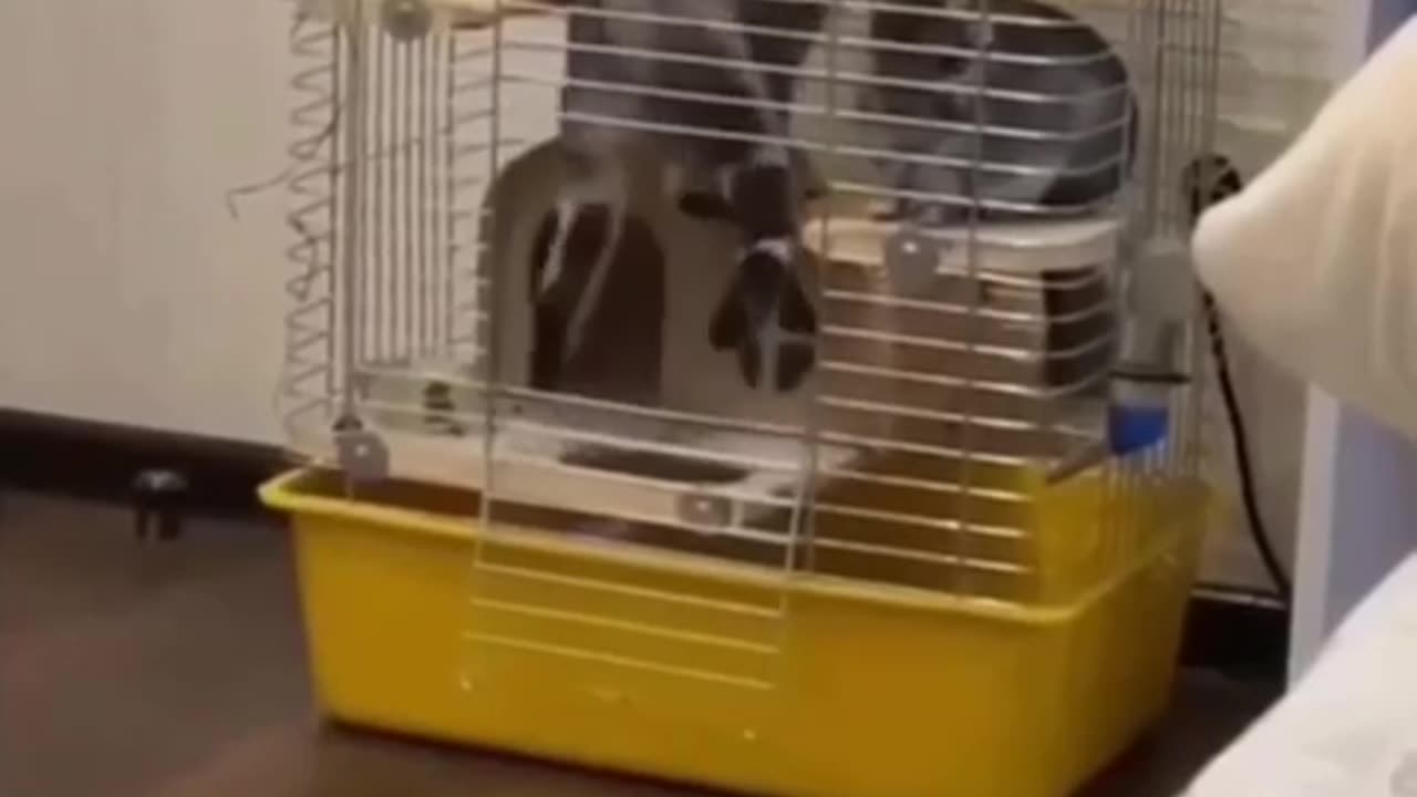 😱🤣 The Most Epic Bait and Switch Prank EVER! | FunFM