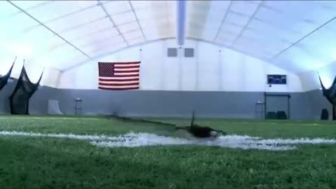 What Has Lockheed Been Hiding?