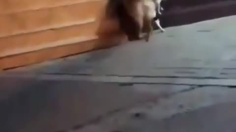 Don't do this, let's get out of here 😀😀😀