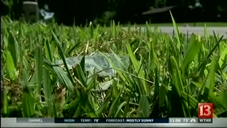 August 13, 2015 - Teen May be Charged as Adult in Indiana Fatal Crash