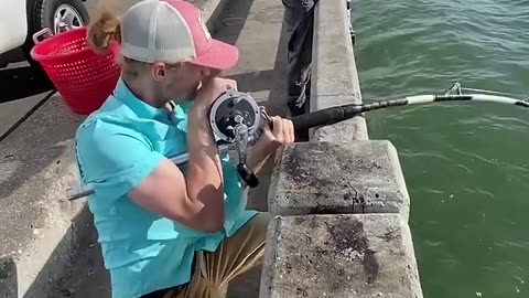 Catching a MONSTER grouper from under the PIER!! 💪 #skyway #fishing #bigfish