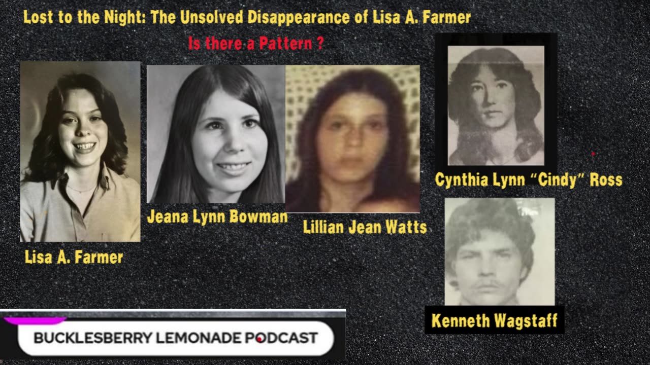 Lost To The Night The Unsolved Disappearance of Lisa Farmer Is There A Pattern