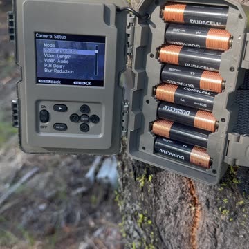 Trail Cam Quick Tips
