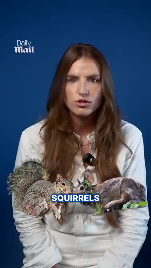 Deer across the United States are turning up...