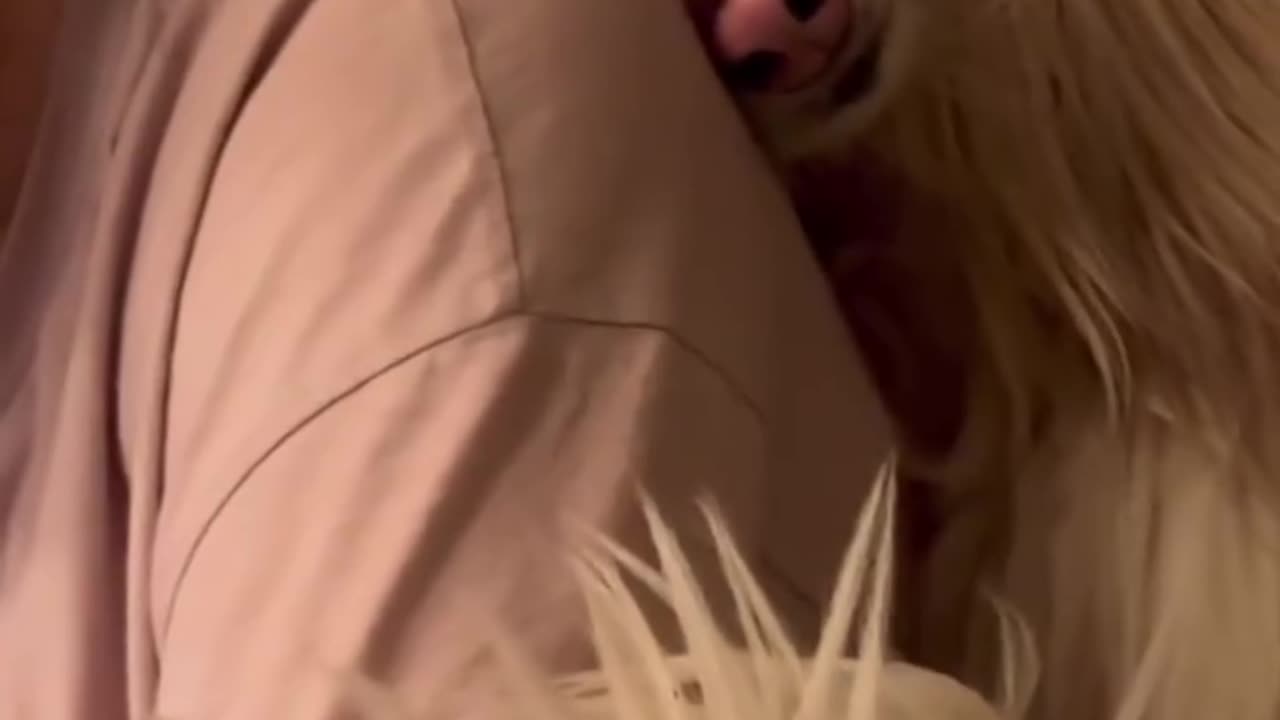 pure face will melt your heartš«