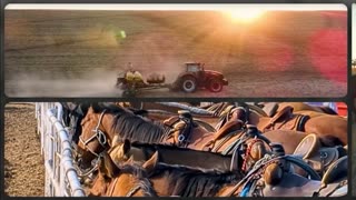 Trent Loos in the Morning - 12/12/2025