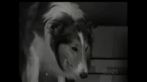 Lassie - Episode 117 - Timmy's Family