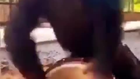 Funny video