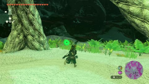Legend of Zelda TotK