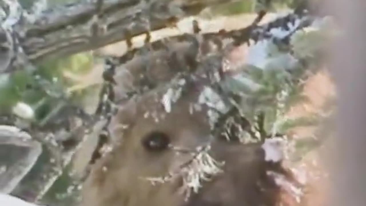 👽🛸 UFO or Supernatural Entity? Watch This Eerie Encounter | TheHauntingHour