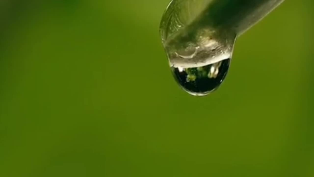 The Benefits of Aromatherapy for Stress Relief | How Essential Oils Can Calm Your Mind