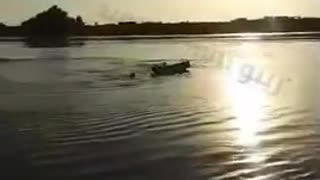 😂💦 You Won't Believe What Happens When You Try to Kill Fishes with a Sea Mine! | FunFM