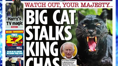 🔥Headlines Tuesday 19th August 2025 Newspaper Headlines 🎉📰#britishpress #breakingnews