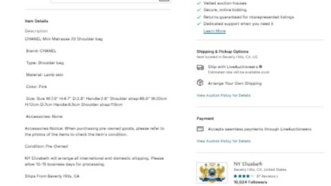 CHANEL MINI SHOULDER BAG | Bid Now with NY Elizabeth