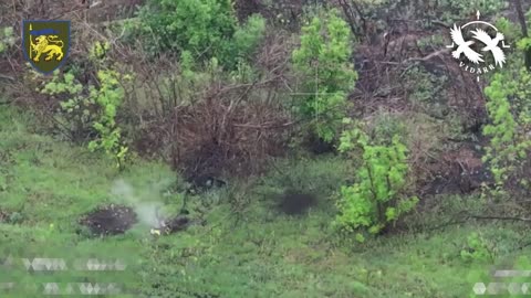 ☠️ During the so-called "truce", a group of occupiers tried to get closer to Ukrainian
