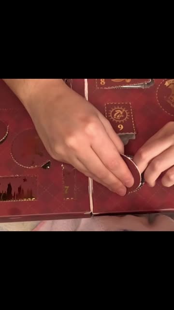 2025 Profusion Cosmetics Harry Potter count down calendar door #10