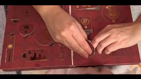 2025 Profusion Cosmetics Harry Potter count down calendar door #10
