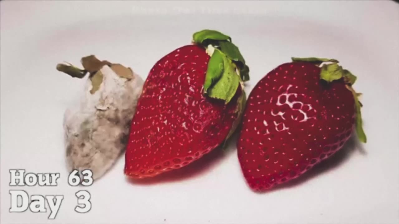 Do not be deceived: “Bad company ruins good morals.” 1 Corinthians 15:33