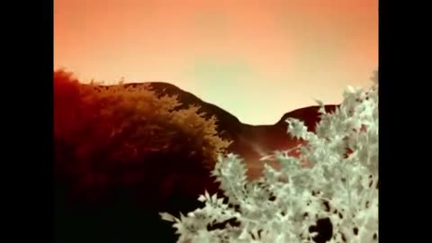 Keane - This Is The Last Time