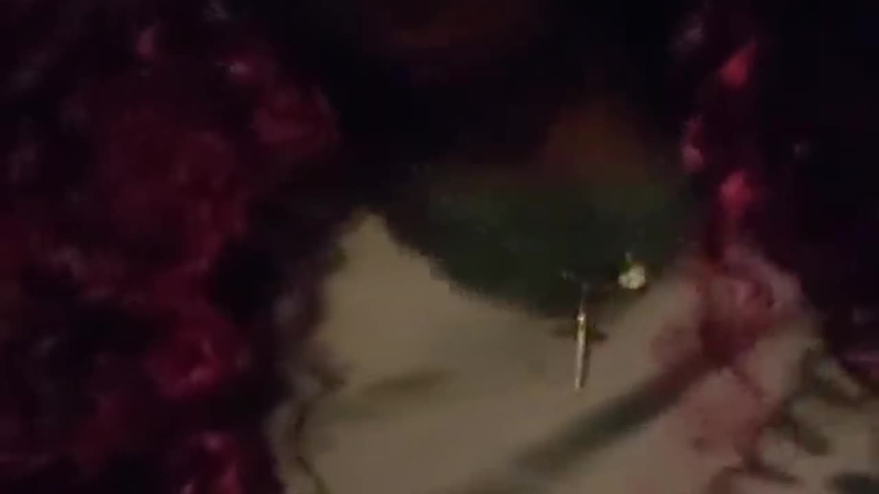 Ally Carter talks Mk Ultra, Contracts & The Black Panthers 6-15-2025