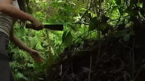 beautiful girl survive alone in the forest, great ok part 1