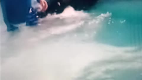 Brawl breaks out at Knotts soak city